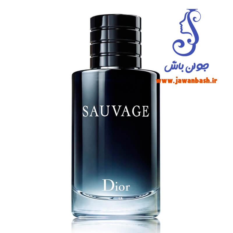 عطر ادکلن دیور ساواج Dior Sauvage  میل 100